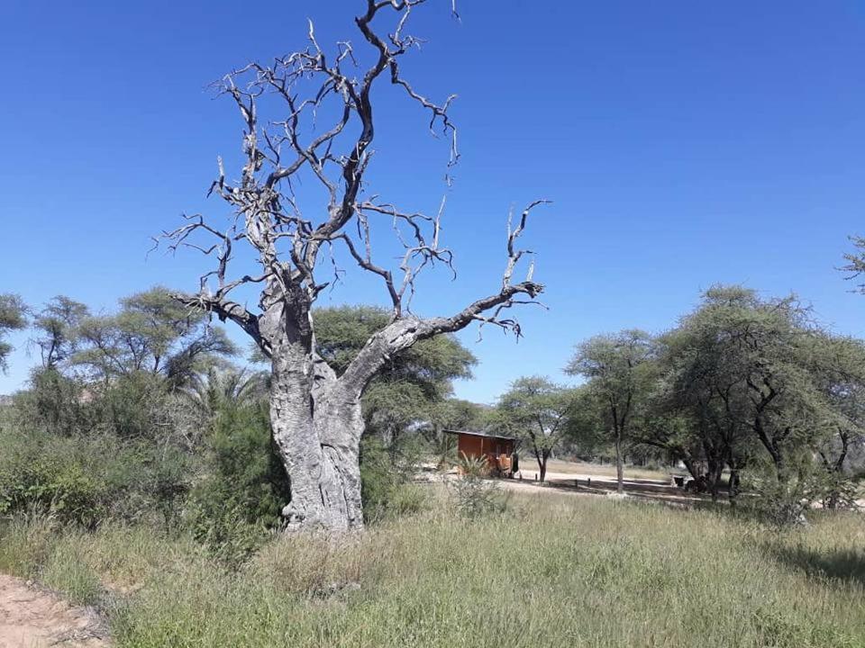 Camp Mara Omaruru Exterior foto